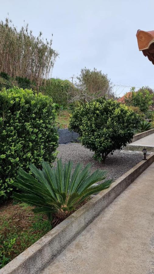 Recantos Do Castanheiro Porto Moniz Zewnętrze zdjęcie